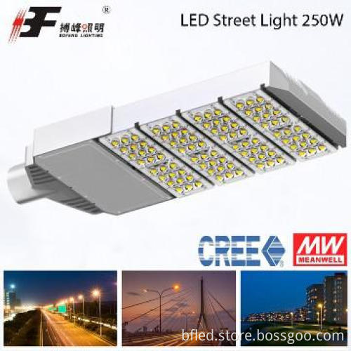 High performance for highway 250w high pressure sodium street light